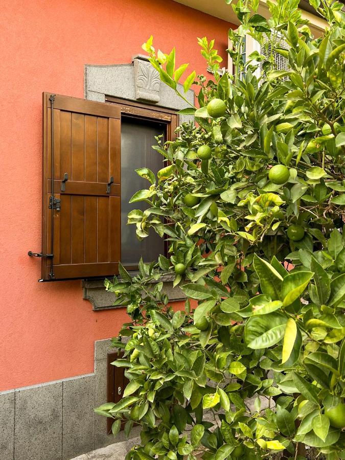 Terre Villa Katia Santa Maria di Licodia Exterior foto